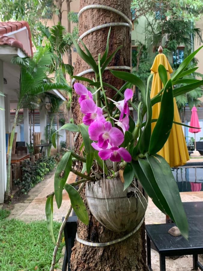 Angkor Magic Tree Boutique Hotel เสียมราฐ ภายนอก รูปภาพ
