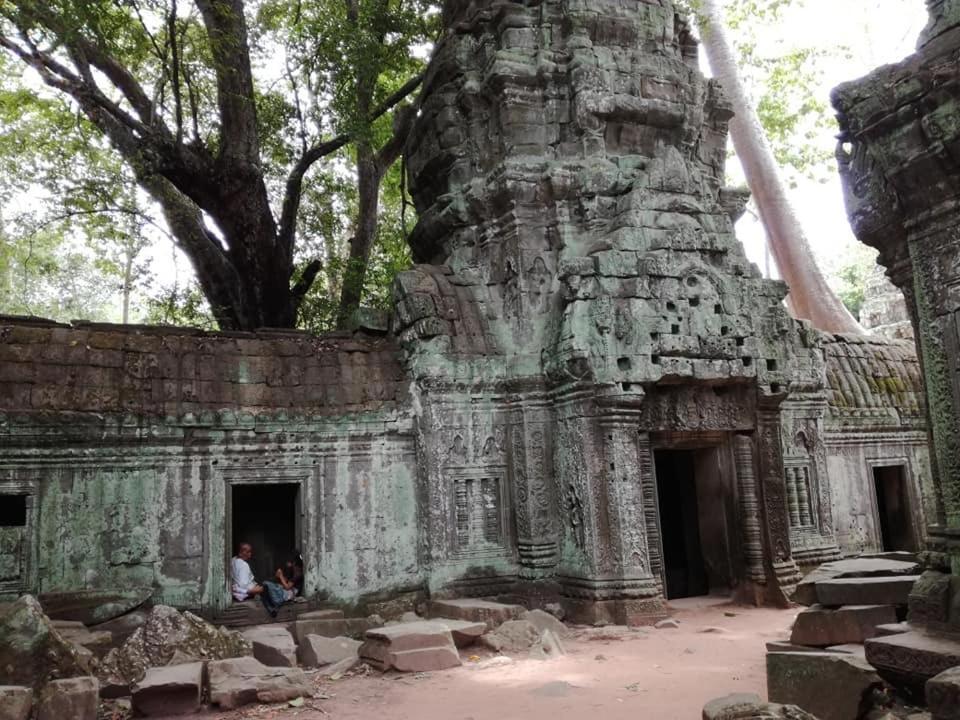 Angkor Magic Tree Boutique Hotel เสียมราฐ ภายนอก รูปภาพ