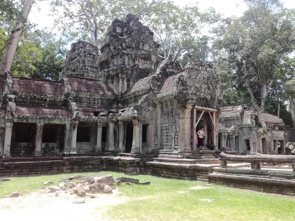 Angkor Magic Tree Boutique Hotel เสียมราฐ ภายนอก รูปภาพ